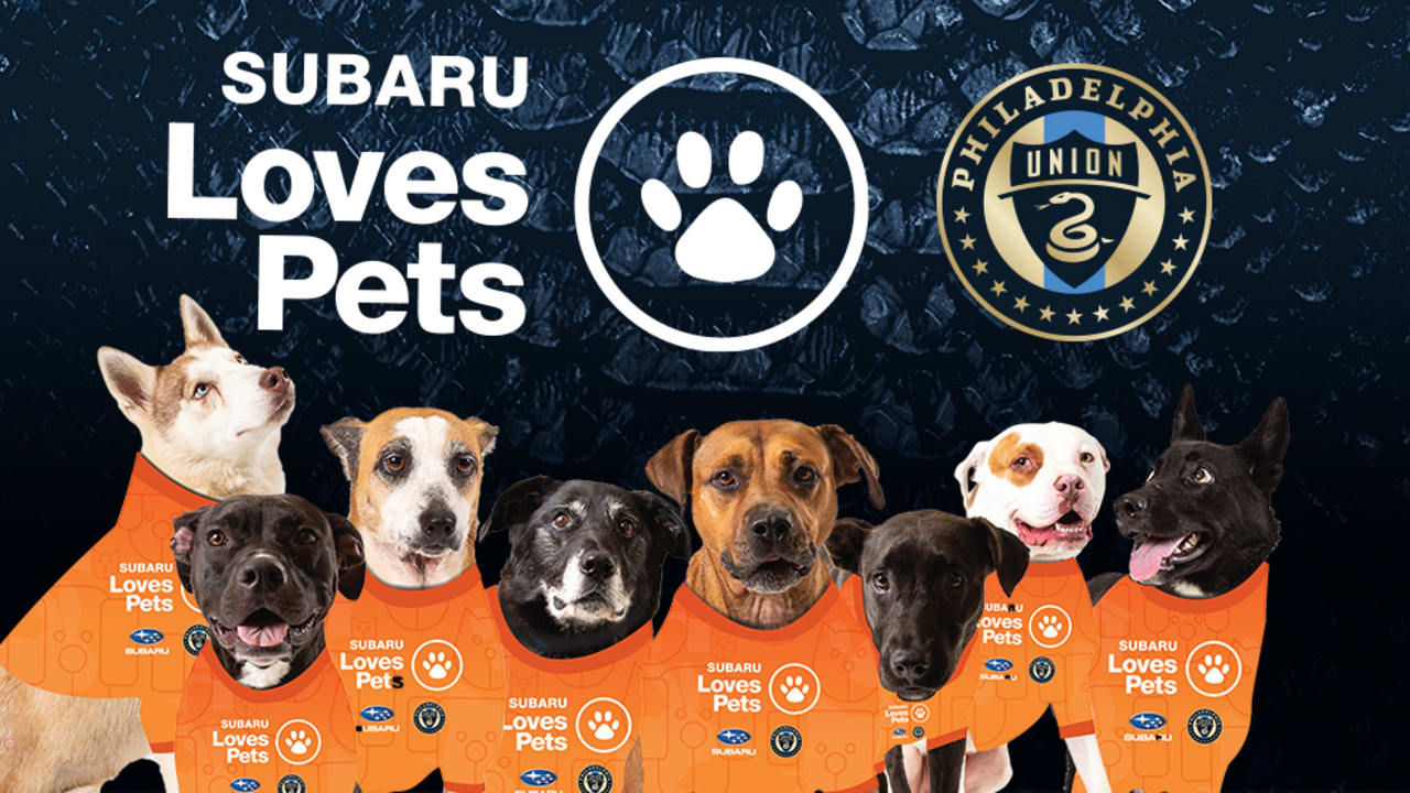 Subaru of America and Philadelphia Union showcase adoptable shelter dogs at  Subaru Park | Philadelphia Union
