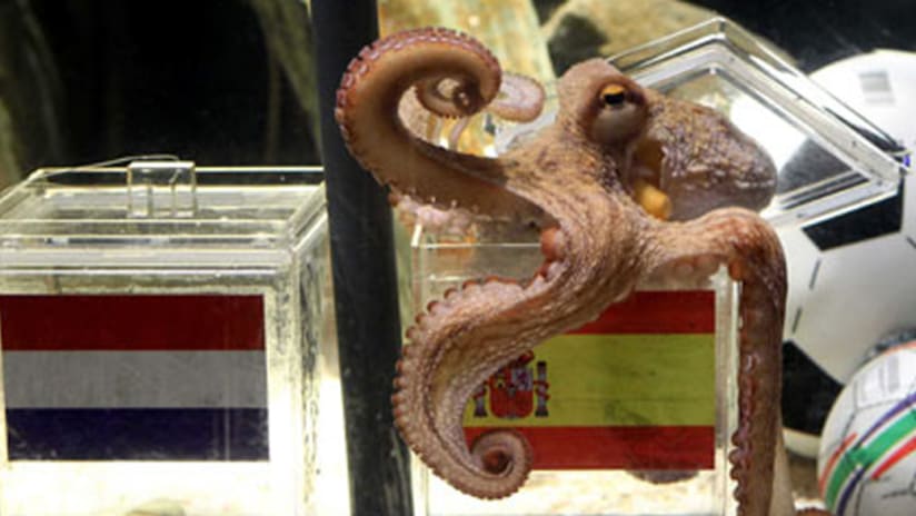 Paul the Octopus, who rose to prominence for his accurate predictions of Germany's matches, has died.