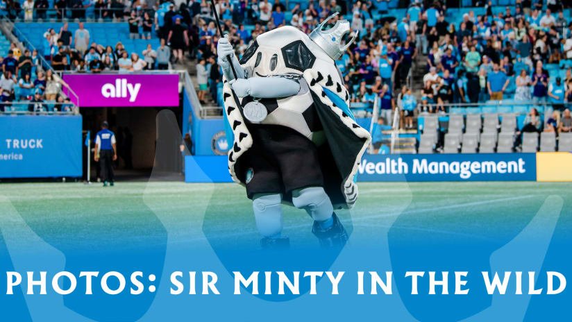 PHOTOS: Sir Minty in the Wild 