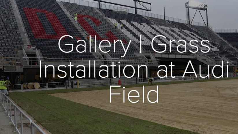 Gallery | Grass installation at Audi Field - Gallery | Grass Installation at Audi Field