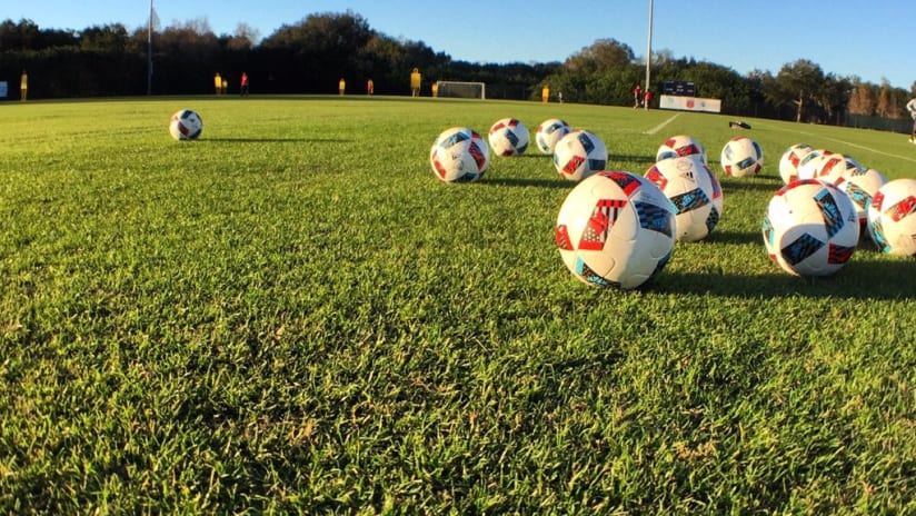 IMAGE: Training field with balls