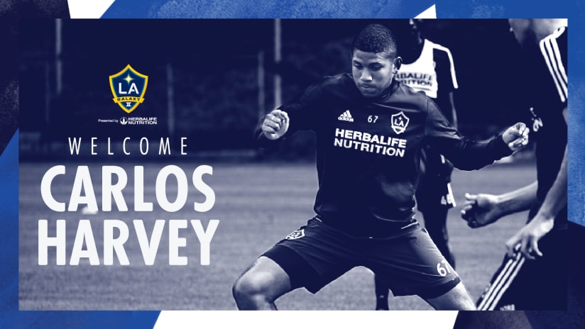 Welcome Carlos Harvey