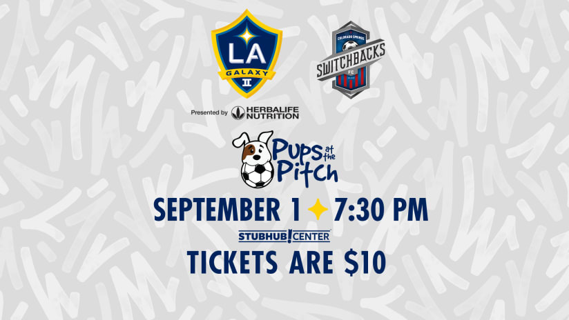 Pups at the Pitch promo graphic