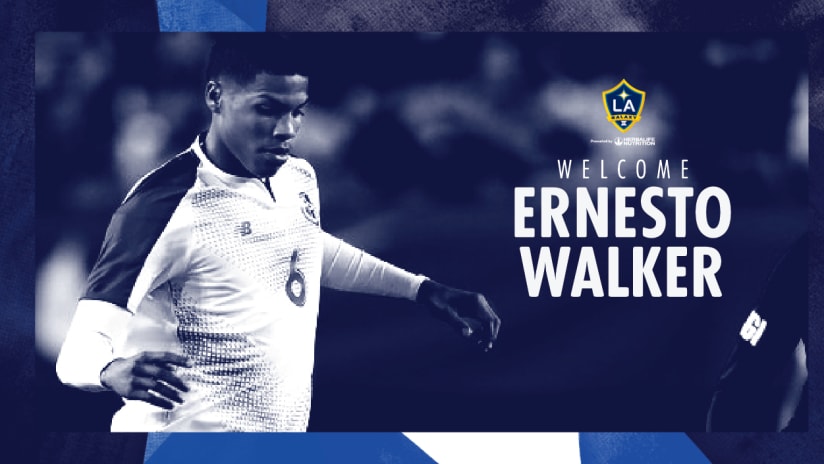 Welcome Ernesto Walker