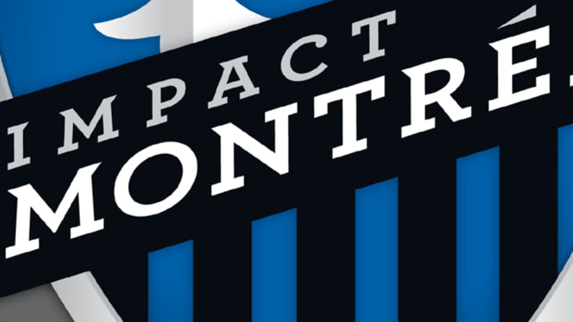 Logo Impact zoomed in teaser