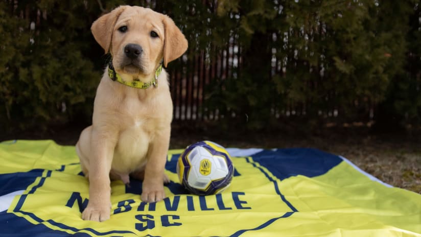 America’s VetDogs Partners with Nashville Soccer Club and Western Governors University to Raise Future Service Dog