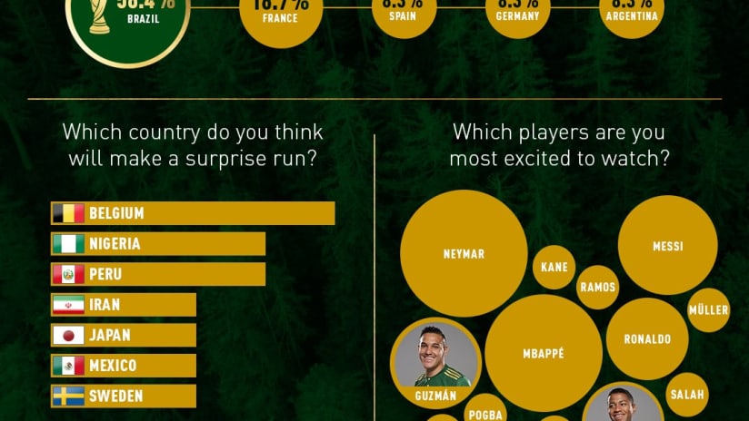 2018 FIFA World Cup Timbers Survey