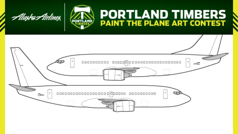 Paint The Plane Contest