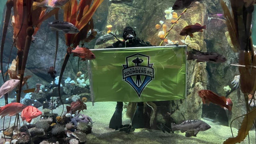 Sounders spirit visible in Seattle as the Rave Green prepare to host Western Conference Semifinals