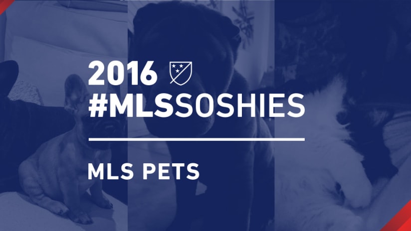 #MLSSoshies 2016 MLS Pets DL image