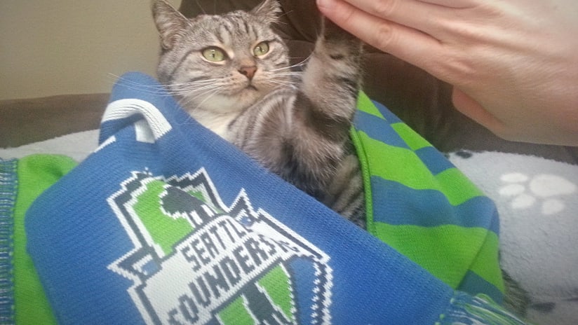 Kat Chancellor cat high-fiving after Seattle Sounders win