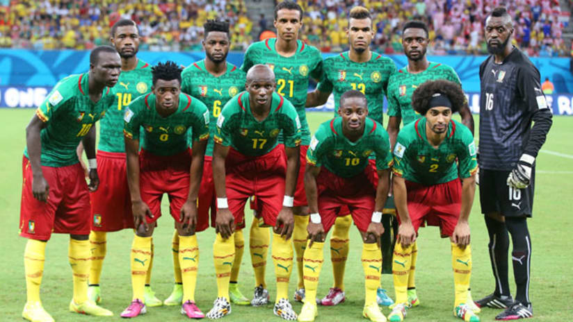 Cameroon, 2014 World Cup