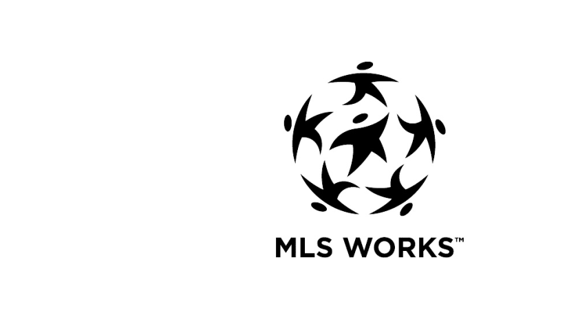 MLS WORKS - Logo - generic