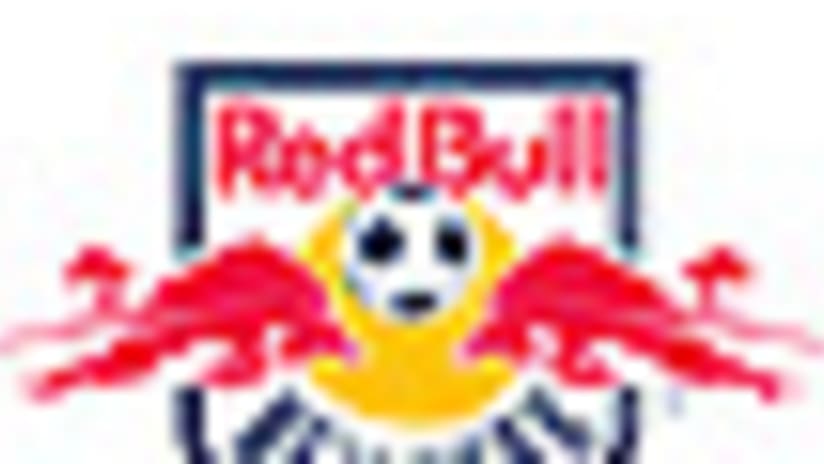 Red Bull New York logo