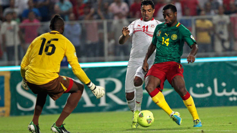 Cameroon and Tunisia