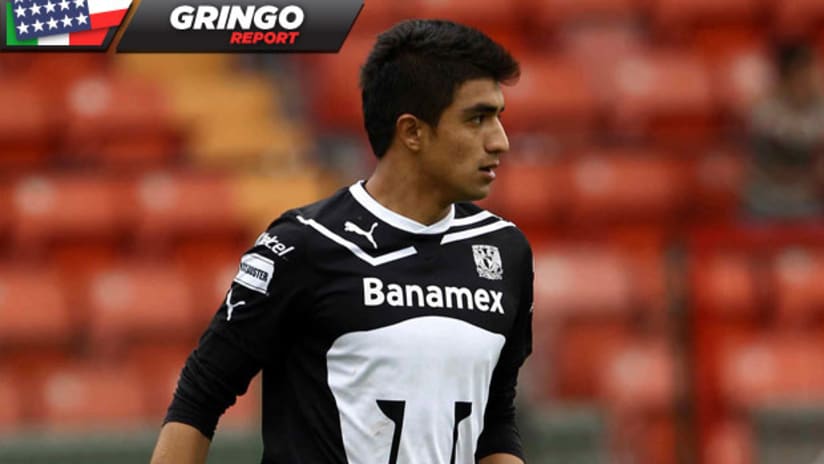 Gringo Report: Magana