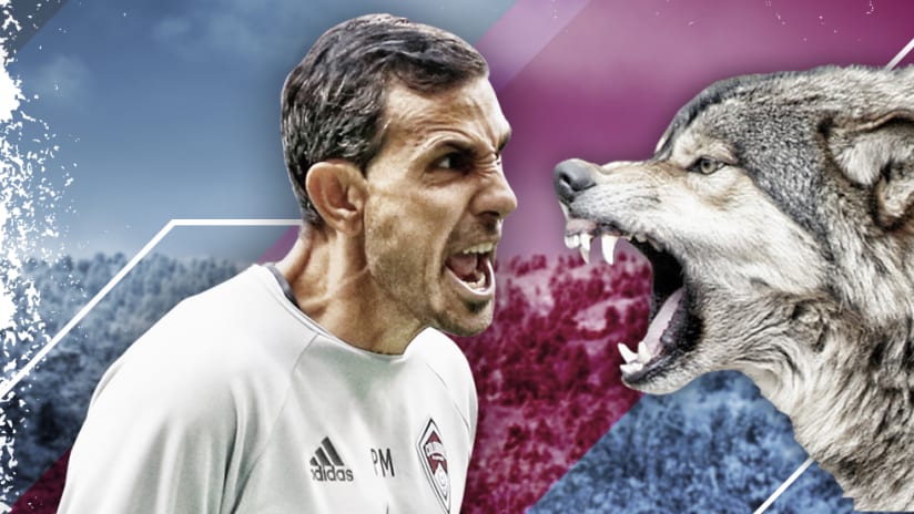 Pablo Mastroeni vs. wolf