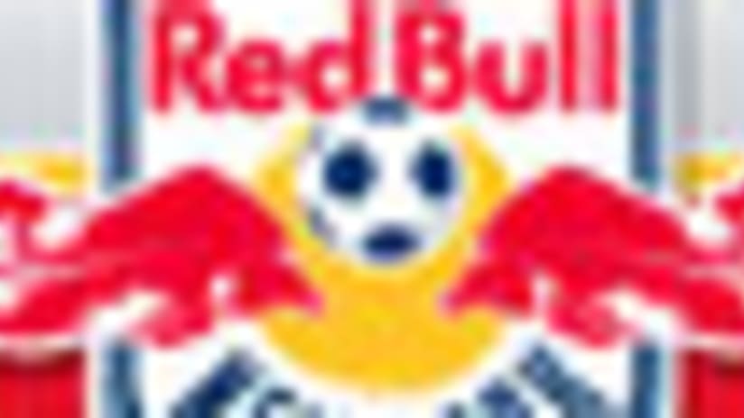 red bulls logo