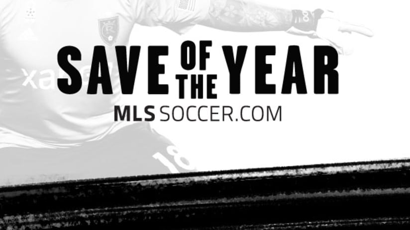 Save of the Year DL image