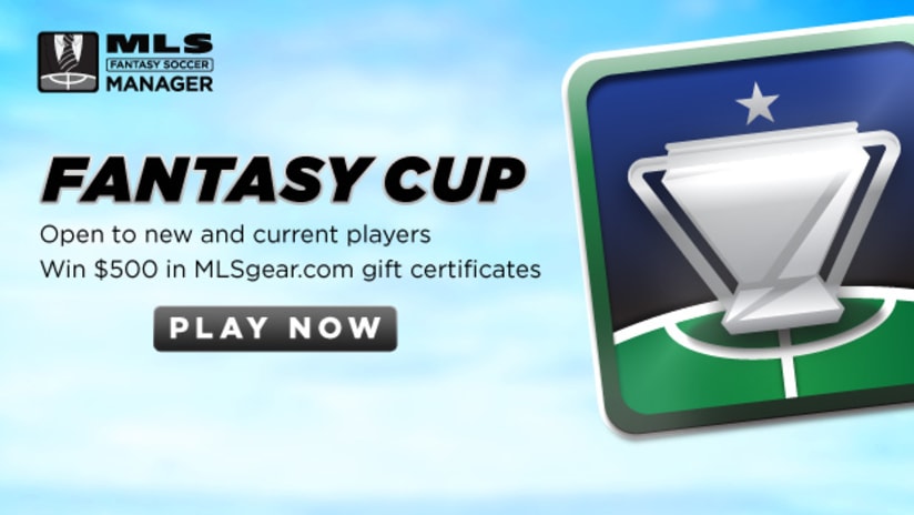 2013 Fantasy Cup