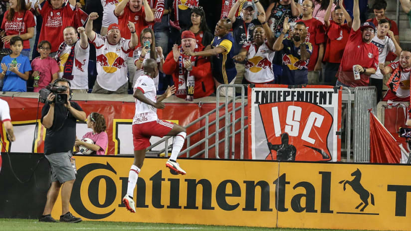 New York Red Bulls celebrate a goal in front of the South Ward