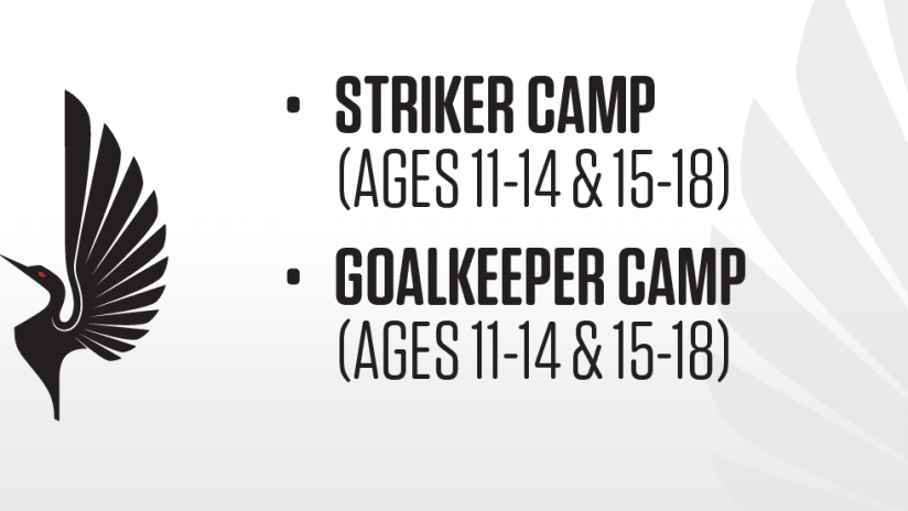 Striker / Goalkeeper Camps