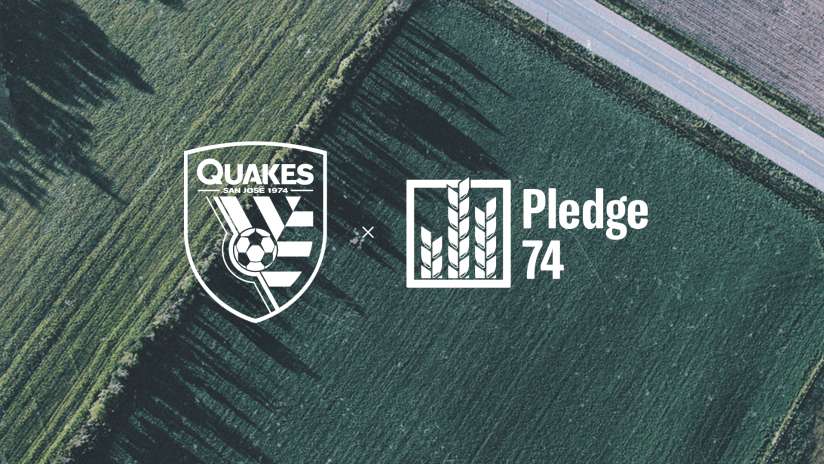 Quakes - Pledge 74