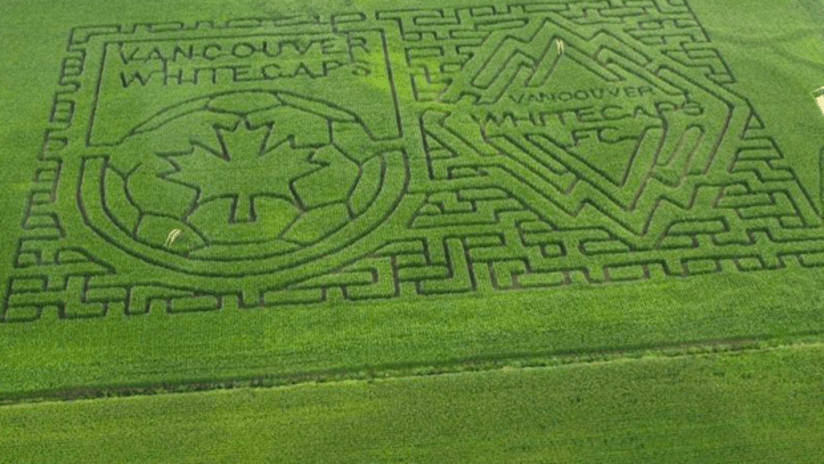 Corn Maze Whitecaps