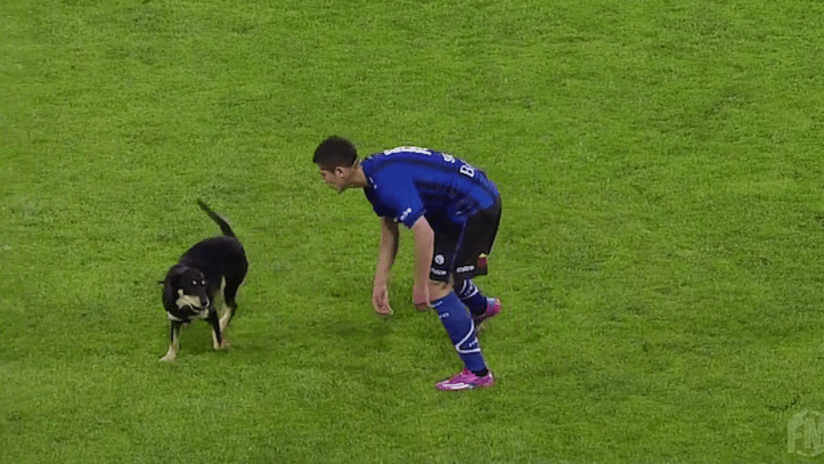 Soccer players tries to corral dog on field in Chile