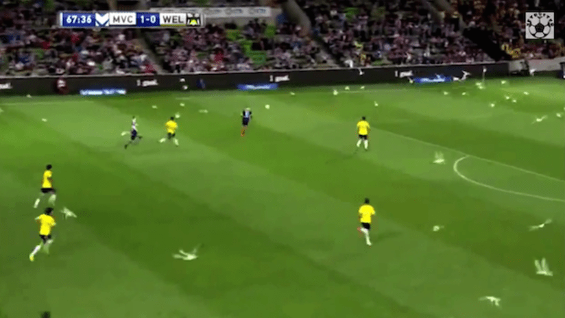 Seagulls invade field during A-League game