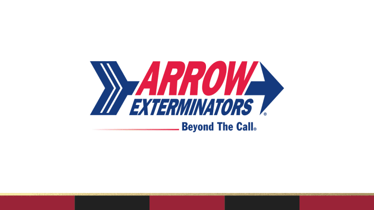ARROW EXTERMINATORS