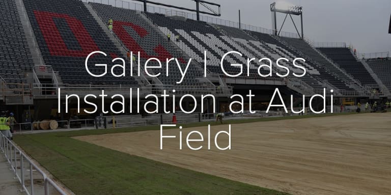 Gallery | Grass installation at Audi Field - Gallery | Grass Installation at Audi Field