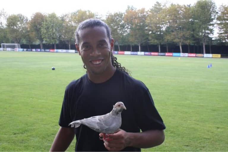 NYCFC Adopts Local Pigeon -