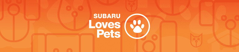 Header-Subaru-Pets