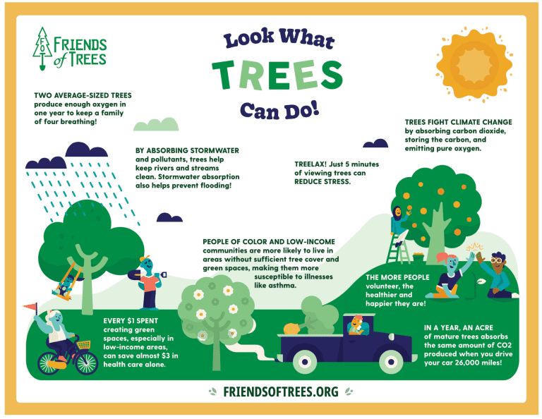 Infographic-FOT-trees-2021-image-2048x1583