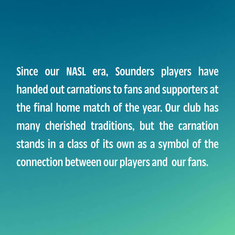 Since our NASL era, Sounders players have handed out carnations to fans and supporters at the final home match of the year. Our club has many cherished traditions, but the carnation stands in a class of its own as a symbol of the connection between our players and our fans.