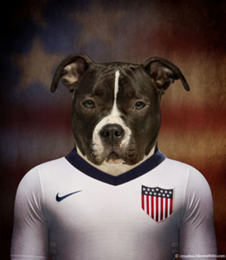 World Cup: Here's what it would look like if we sent dogs to play in Brazil 2014 | SIDELINE -