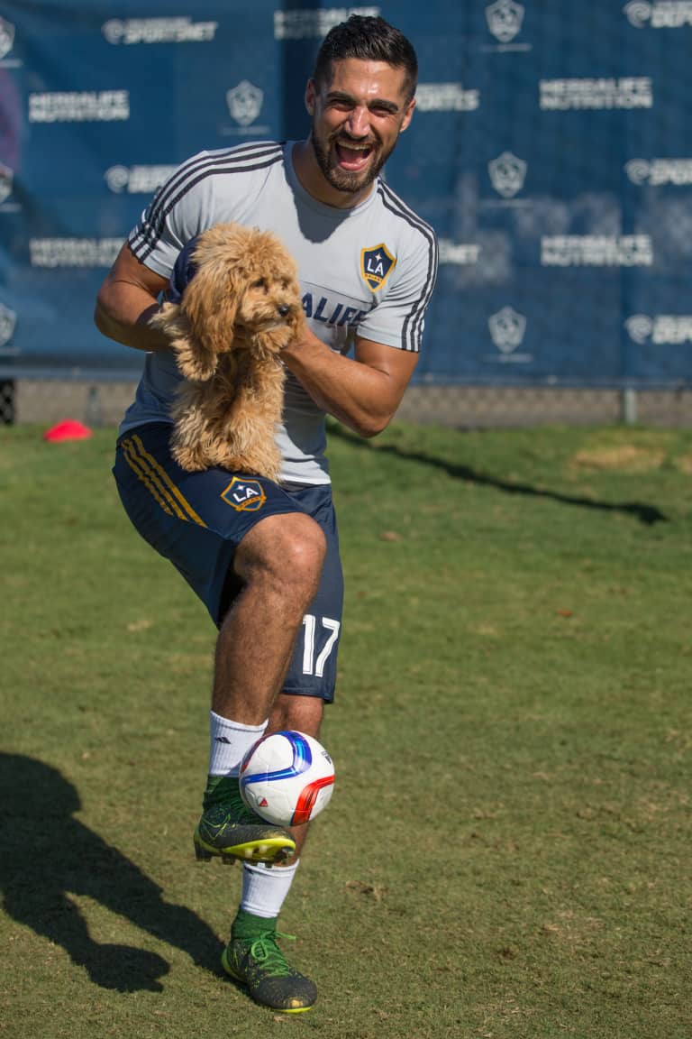 LA Galaxy releases new match poster by artist Jamie B. Edwards, ridiculous puppy photo shoot | SIDELINE - https://league-mp7static.mlsdigital.net/images/lletgetpuppy.jpg