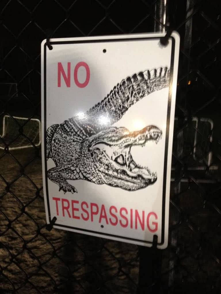 Gators on the loose in South Carolina, plus DeRo reads MLS Analyst in his downtime -