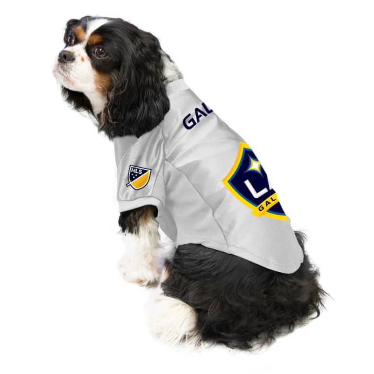 2020 MLS holiday gift guide: From jerseys to pet products, what to get the soccer fan in your life - https://league-mp7static.mlsdigital.net/images/galaxy-pup.jpg