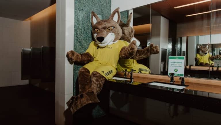 How Tempo the Coyote, Nashville SC's official mascot, came to be | J. Sam Jones - https://league-mp7static.mlsdigital.net/styles/image_default/s3/images/Tempo%20the%20Coyote%20at%20Music%20City%20Center%20-%20Photo%201_m32099.jpg