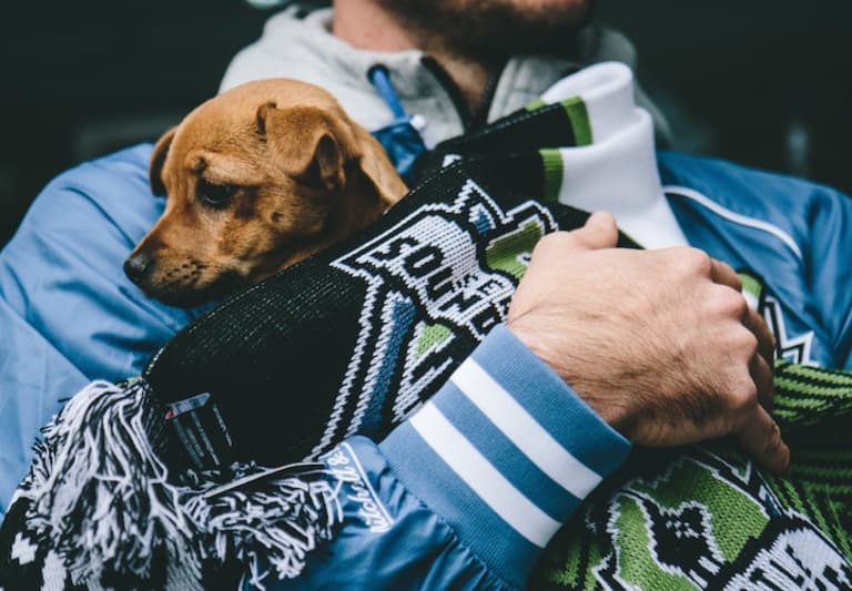 The Seattle Sounders spread #GoodPlayoffKarma with an adoption event for rescue puppies and kittens | SIDELINE - https://league-mp7static.mlsdigital.net/images/doginseattlescarf.jpg
