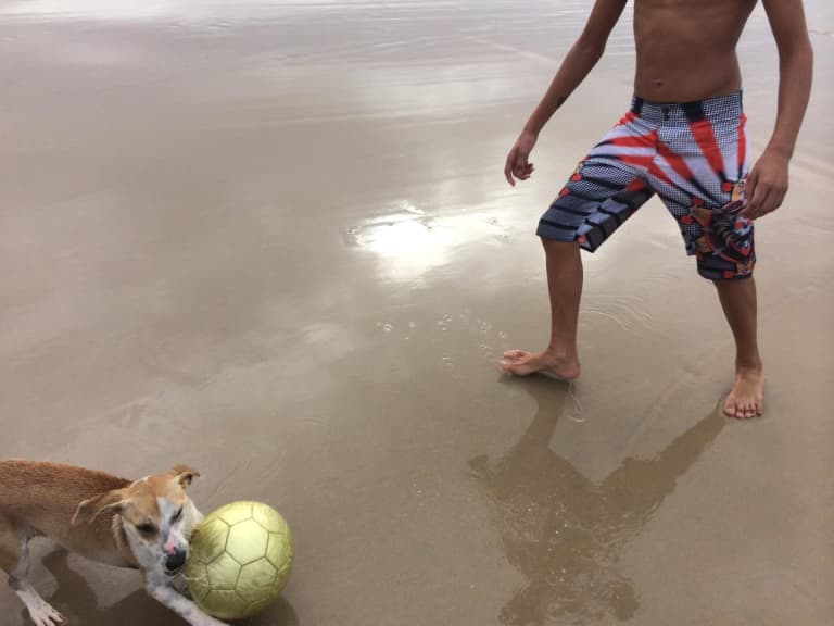 An American in Brazil: Beach soccer in pictures  -