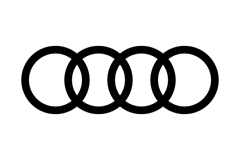 audi-rings-2024-partner-page