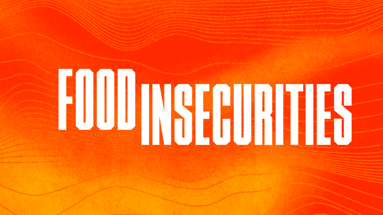 FOOD INSECURITIES