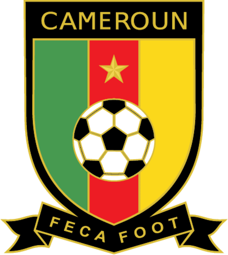 World Cup 2014: Cameroon national soccer team guide -