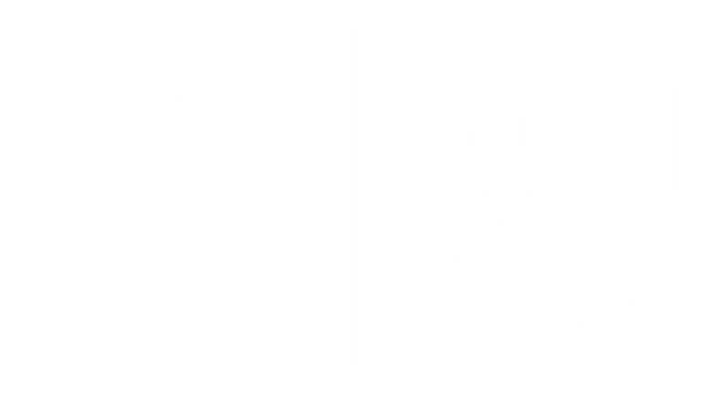 MLS_APPLE-2022-lockup