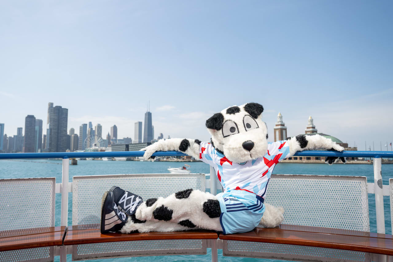Sparky taking in the skyline from Pier to Pitch